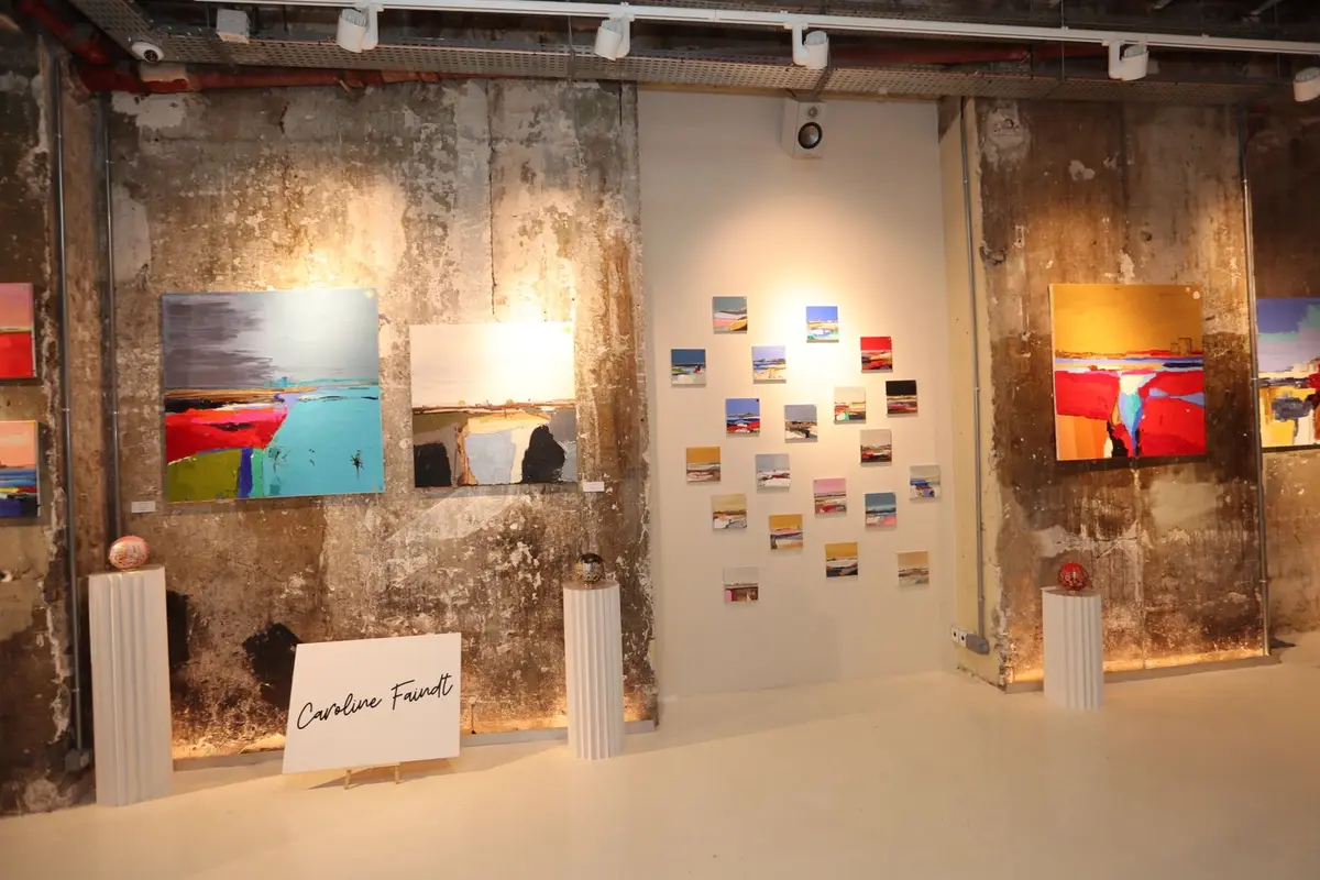 Exposition Caroline Faindt — Chez les Plombiers